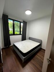 Kopar At Newton (D9), Apartment #553434431